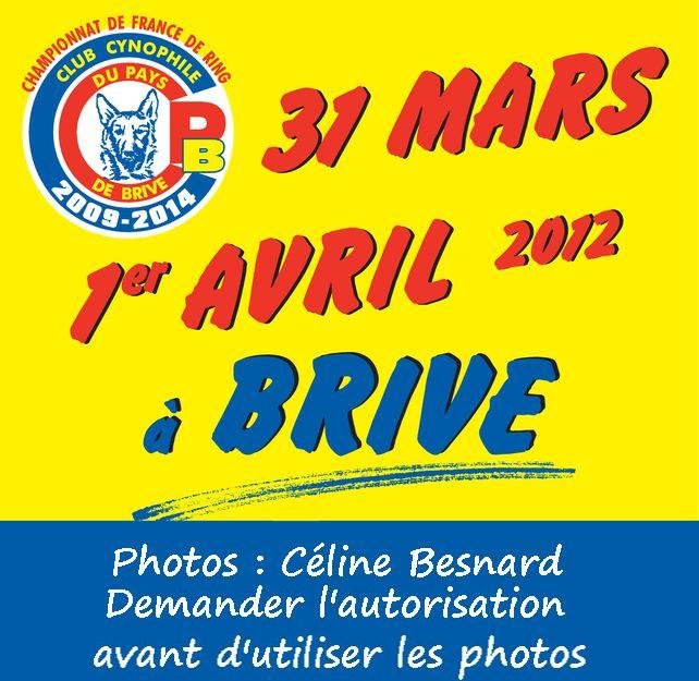 briveSel2012-1