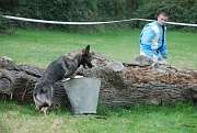 ulko-alain-DSC_0041