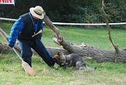 ulko-alain-DSC_0045