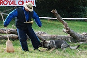 ulko-alain-DSC_0046