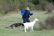 ulko-alain-DSC_0062