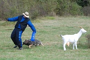 ulko-alain-DSC_0063