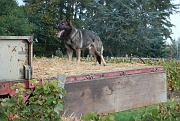 ulko-alain-DSC_0065