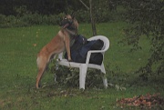 ChampCampagne2012 747