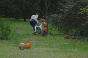 ChampCampagne2012 382
