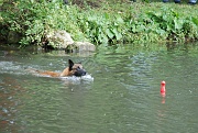 ADES DU BANC DES HERMELLES