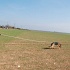 DSC_0095