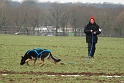 BAYA DES LEGENDAIRES VANOVA