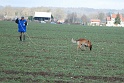 ChampionatPistage2013Dimanche 123