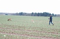 ChampionnatPistage 2013Samedi 115