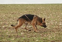 VALMY DE LA NOUVELLE DEMEURE DIT VAROUM