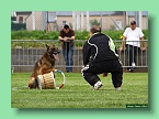 IMG_3010