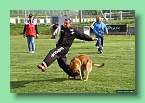 IMG_3380
