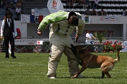 ENDY DU BANC DES HERMELLES_0185