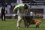 ENDY DU BANC DES HERMELLES_0185