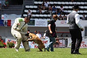 ENDY DU BANC DES HERMELLES_0198