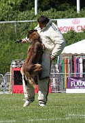 DOKER DE LA VALLEE DU GRAND LOUP _0164