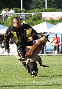 DOGTRA DU DOMAINE D