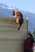 VANDAL DES LOUPS DE GENAIN_0043
