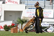 VANDAL DES LOUPS DE GENAIN_0059