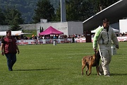 VANDAL DES LOUPS DE GENAIN_0105
