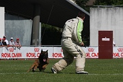 VANDAL DES LOUPS DE GENAIN_0111