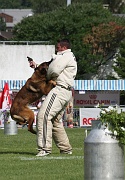 VANDAL DES LOUPS DE GENAIN_0117