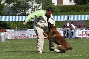 VANDAL DES LOUPS DE GENAIN_0121