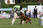 VANDAL DES LOUPS DE GENAIN_0124