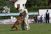 VANDAL DES LOUPS DE GENAIN_0126