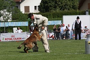 VANDAL DES LOUPS DE GENAIN_0127