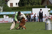 VANDAL DES LOUPS DE GENAIN_0129