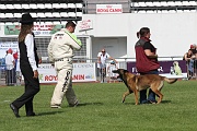 VANDAL DES LOUPS DE GENAIN_0136