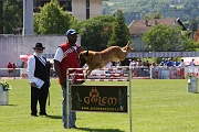 _CAYENNE DE LA VALLEE DU GRAND LOUP 0022