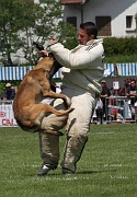 CENIK DU CLAIR VAILLANT 0171