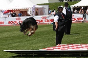 BALZAN DE LA HORDE VALNEGRIENNE 0012