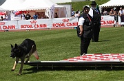 BALZAN DE LA HORDE VALNEGRIENNE 0013