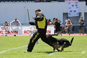 BALZAN DE LA HORDE VALNEGRIENNE 0031