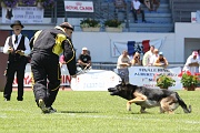 BALZAN DE LA HORDE VALNEGRIENNE 0058