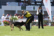 BALZAN DE LA HORDE VALNEGRIENNE 0071