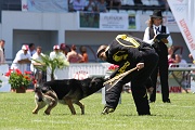 BALZAN DE LA HORDE VALNEGRIENNE 0077