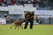 DIESEL V DES GROTTES DE LA PLAINE DIT DYCK _0123