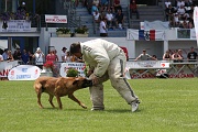 DIESEL V DES GROTTES DE LA PLAINE DIT DYCK _0180