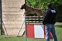 Dakota du Banc des Hermelles