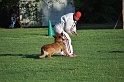 DSC_0116 (2)