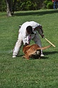DSC_0349 (2)