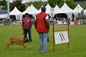 CAYENNE DE LA VALLEE DU GRAND LOUP-078