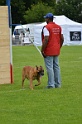 CAYENNE DE LA VALLEE DU GRAND LOUP-111