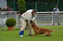 CAYENNE DE LA VALLEE DU GRAND LOUP-281