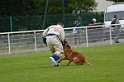 CAYENNE DE LA VALLEE DU GRAND LOUP-285